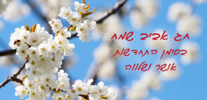 טרייד אין יהוד