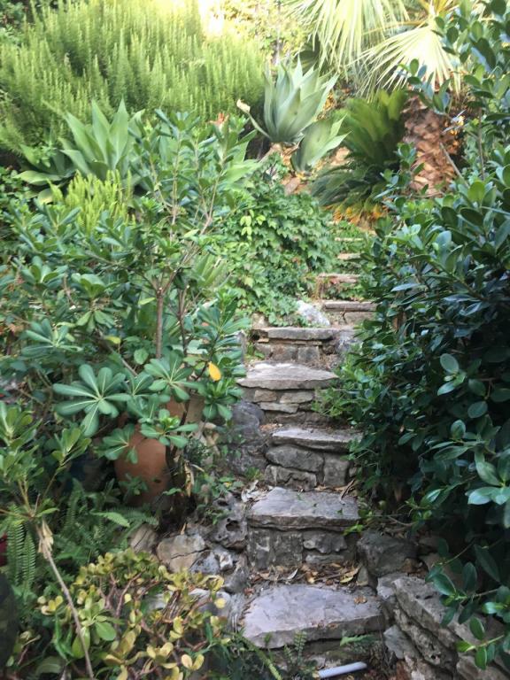 עוצמת הנדלן עוצמת הנדלן