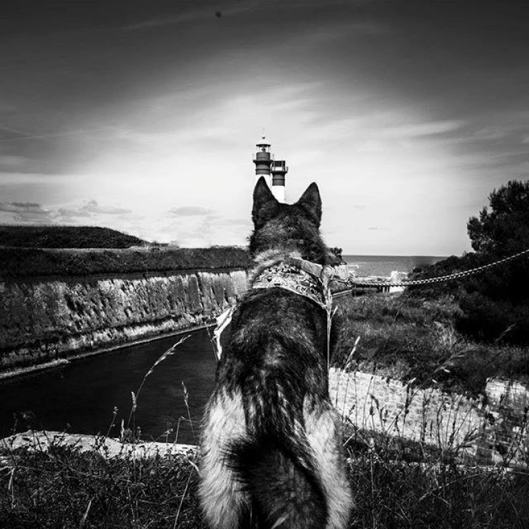 כנפיים סטודיו לצילום כנפיים סטודיו לצילום