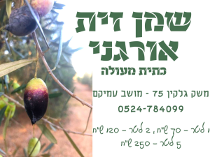 משק גלקין 75