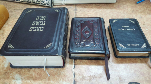 קנן זאב
