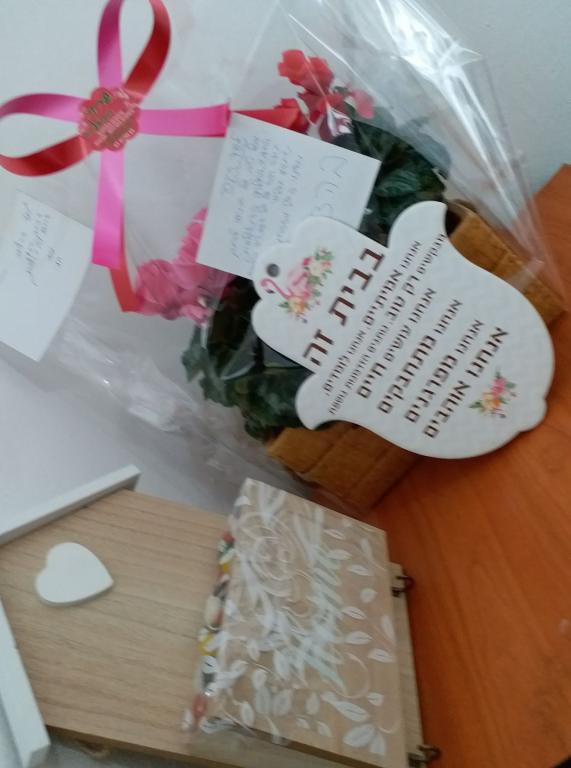 עדי שפיר עדי שפיר