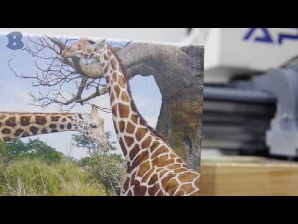 מיי פוטו סניף אריאל מיי פוטו סניף אריאל