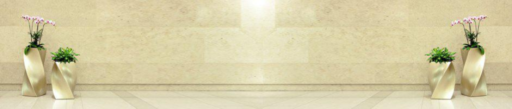 אדמוני שירותי ניקיון אדמוני שירותי ניקיון