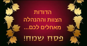 הדודות