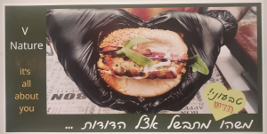 הדודות