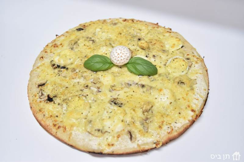 טופ פיצה טופ פיצה