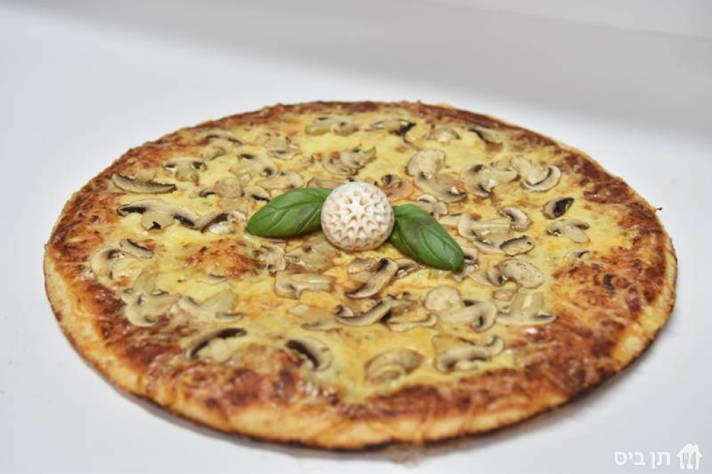 טופ פיצה טופ פיצה