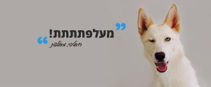 דוגז Dogz