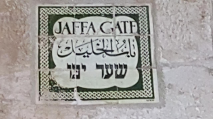 לדעת את הארץ שי שוולב