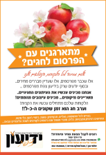 ידיעון צפת