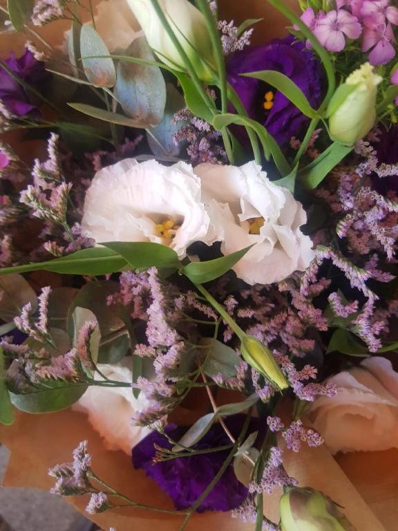 כתום פרחים כתום פרחים