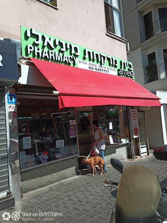 מיניאלי מיניאלי