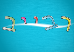 סטו דיו רבייב