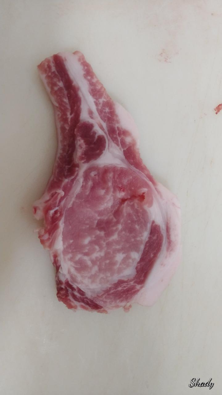 אטליז אבו שאדי אטליז אבו שאדי