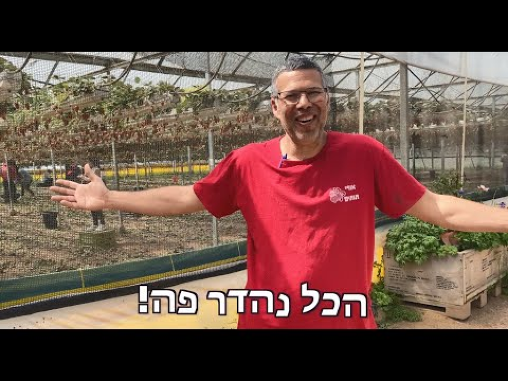 אורי תותים אורי תותים