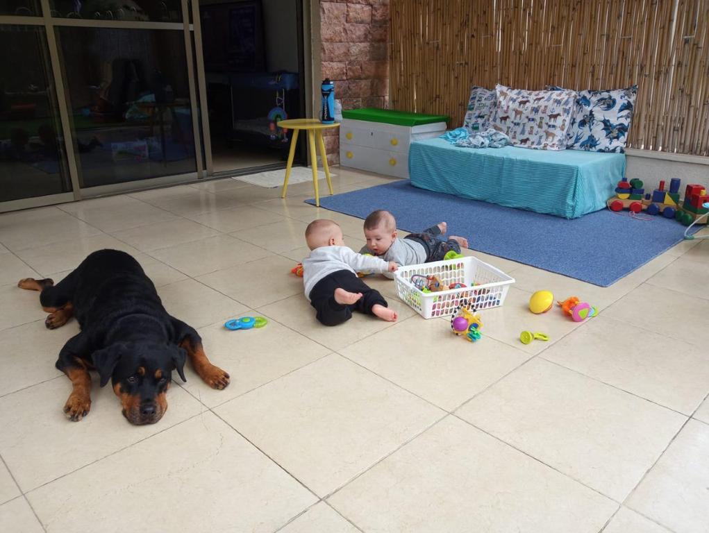 משפחתון איילת המטיילת משפחתון איילת המטיילת