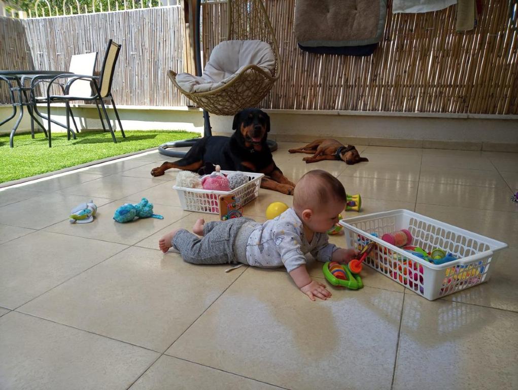 משפחתון איילת המטיילת משפחתון איילת המטיילת