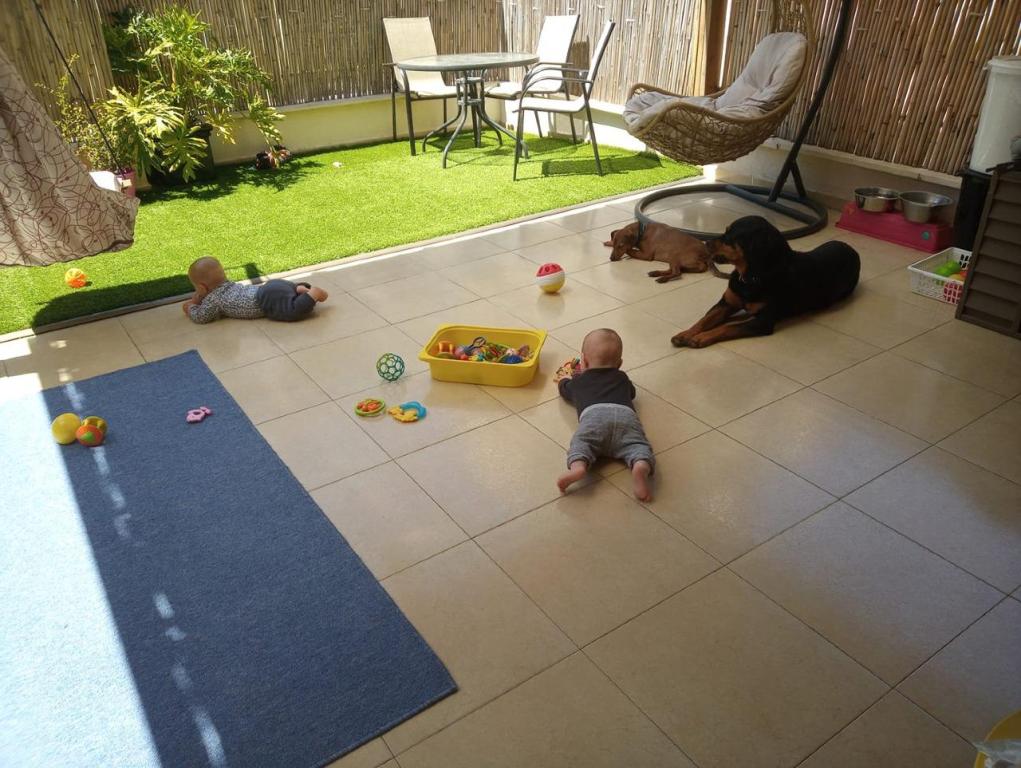 משפחתון איילת המטיילת משפחתון איילת המטיילת