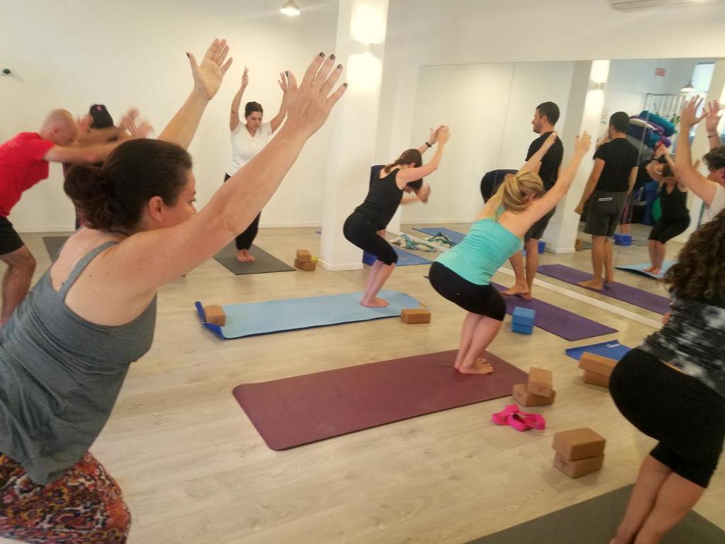 סטודיו גאלופ סטודיו גאלופ