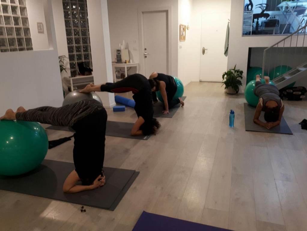 סטודיו גאלופ סטודיו גאלופ