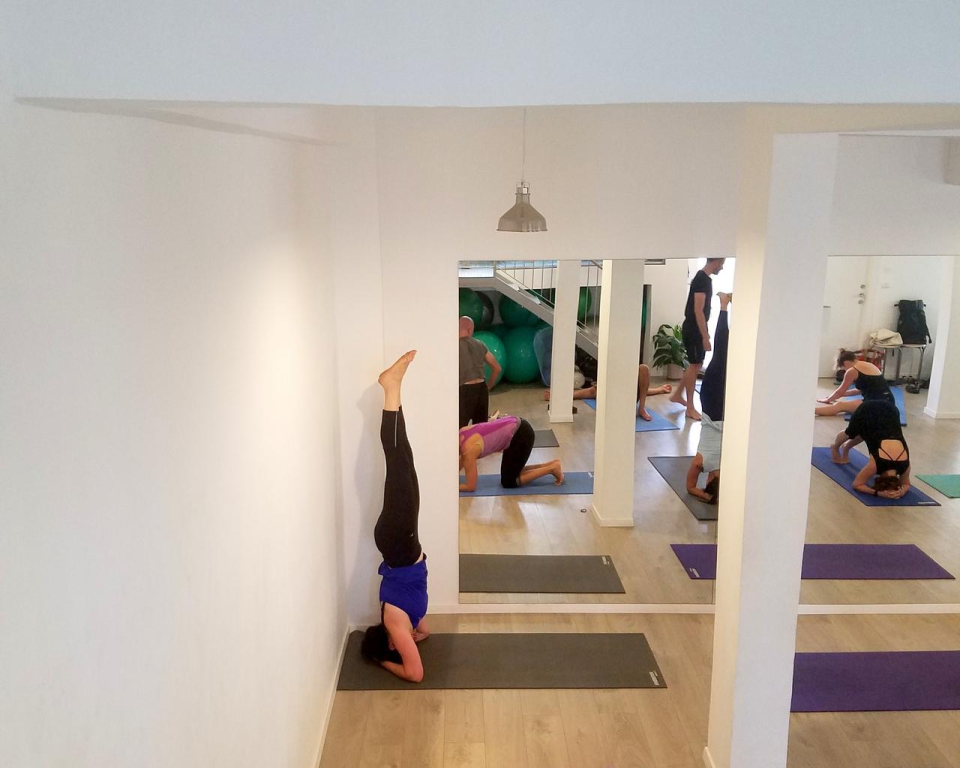 סטודיו גאלופ סטודיו גאלופ