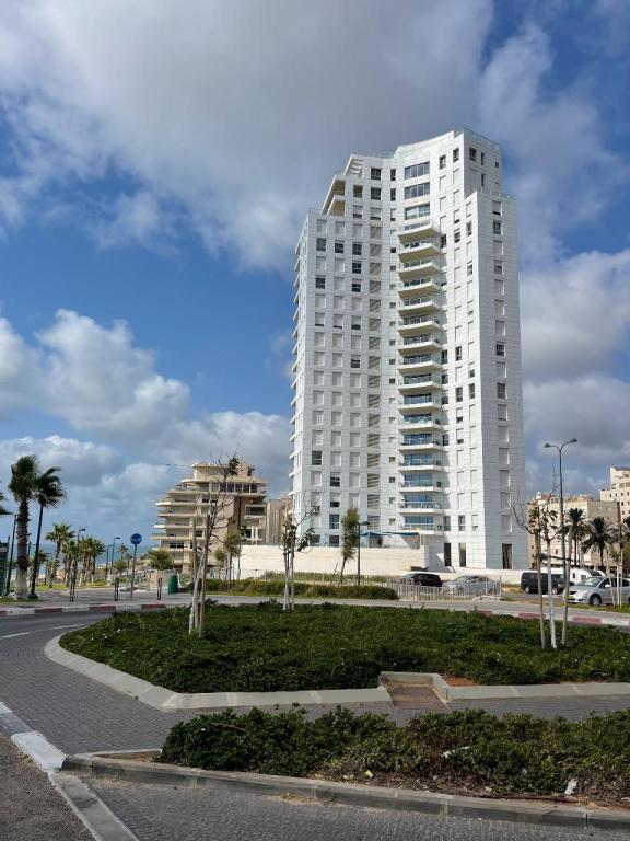 עמי פחימה מומחה להחלקות עמי פחימה מומחה להחלקות