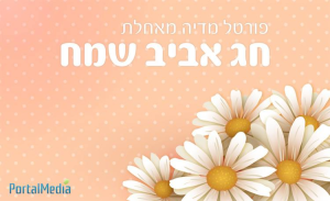 פורטל מדיה