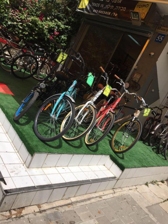 אופני פרימו אופני פרימו