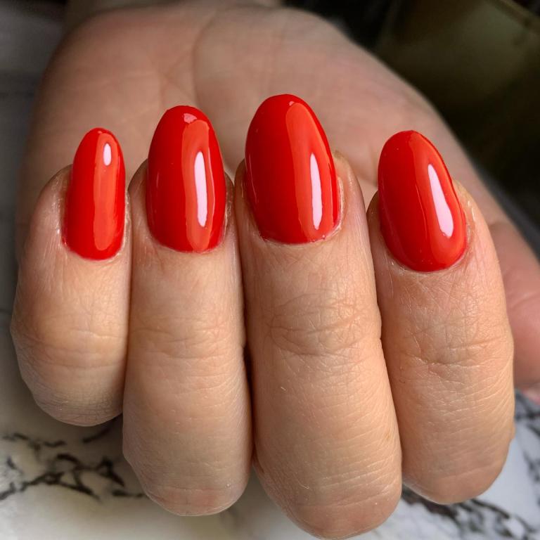 טל אשכנזי טל אשכנזי