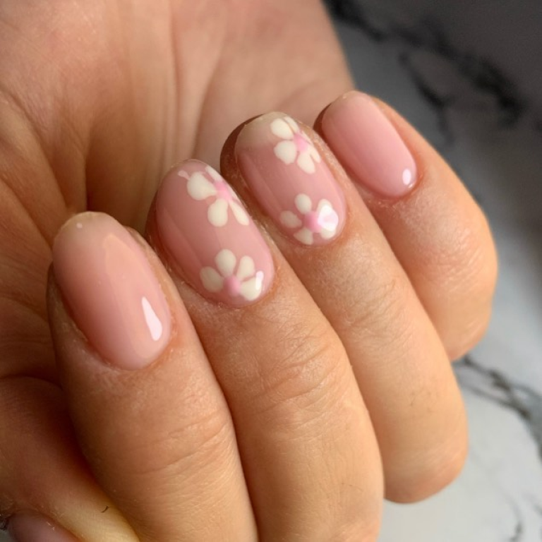 טל אשכנזי טל אשכנזי