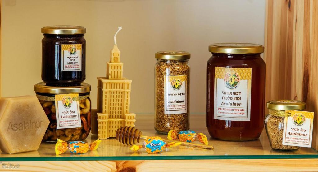 עסל אלנור עסל אלנור