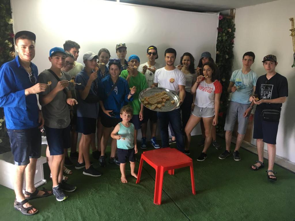 עסל אלנור עסל אלנור