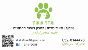 Easy dog אילוף כלבים