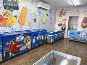 גלידות פלדמן חנות המפעל