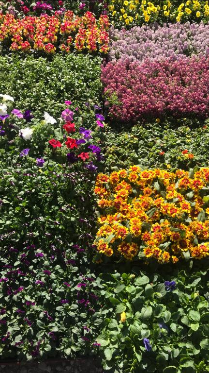 משתלת איתי משתלת איתי