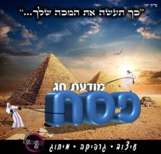 מיתוג לעסקים NOGO