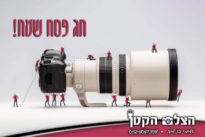 מיתוג לעסקים NOGO