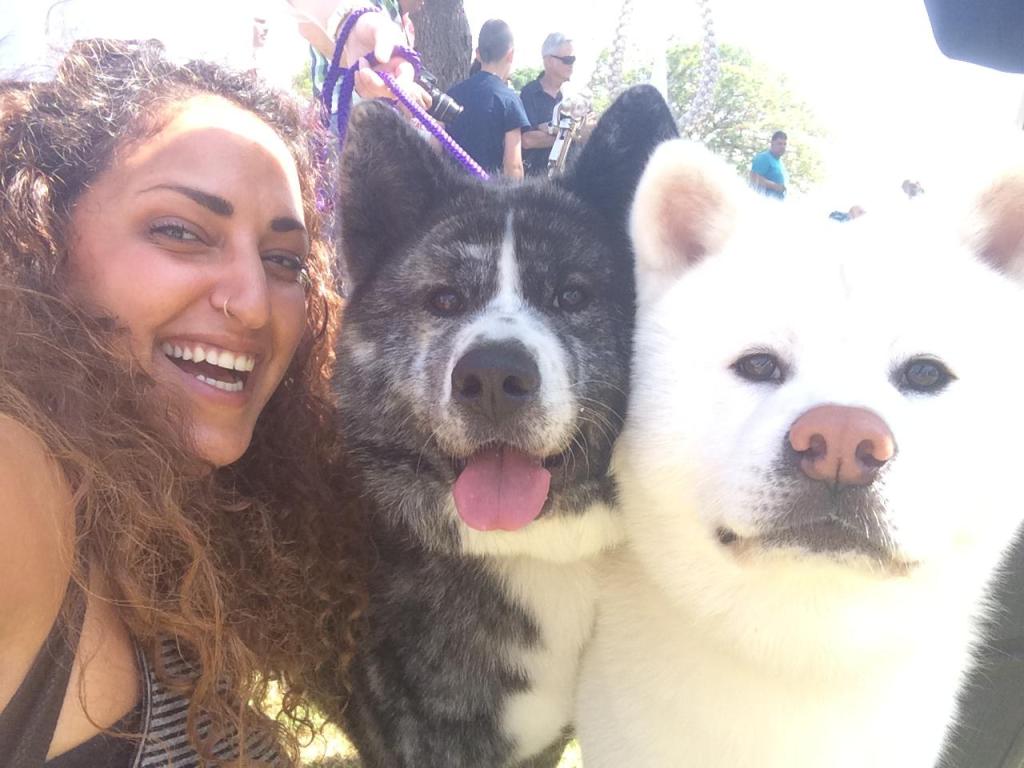 מור ימיני DOGS&MORe מור ימיני DOGS&MORe