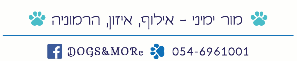 מור ימיני DOGS&MORe מור ימיני DOGS&MORe