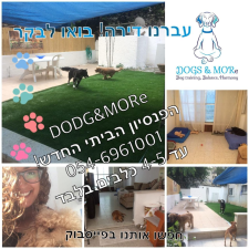 מור ימיני DOGS&MORe