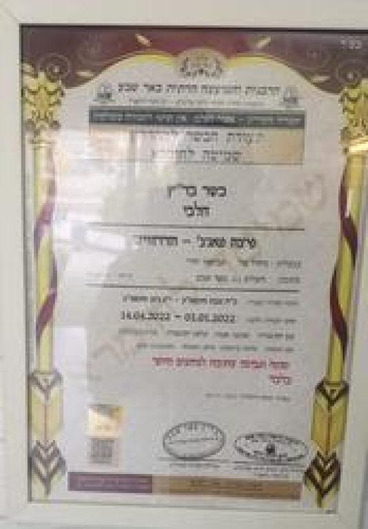 פיצה פאנצ' פיצה פאנצ'