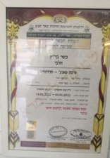 פיצה פאנצ'