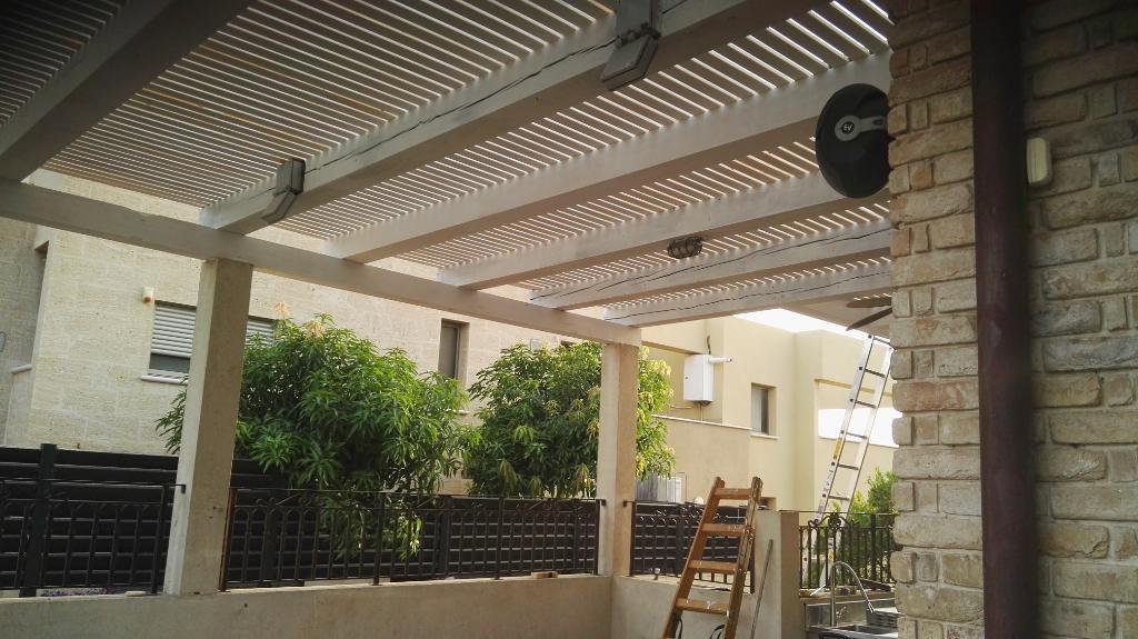 זיו בניה בעץ זיו בניה בעץ