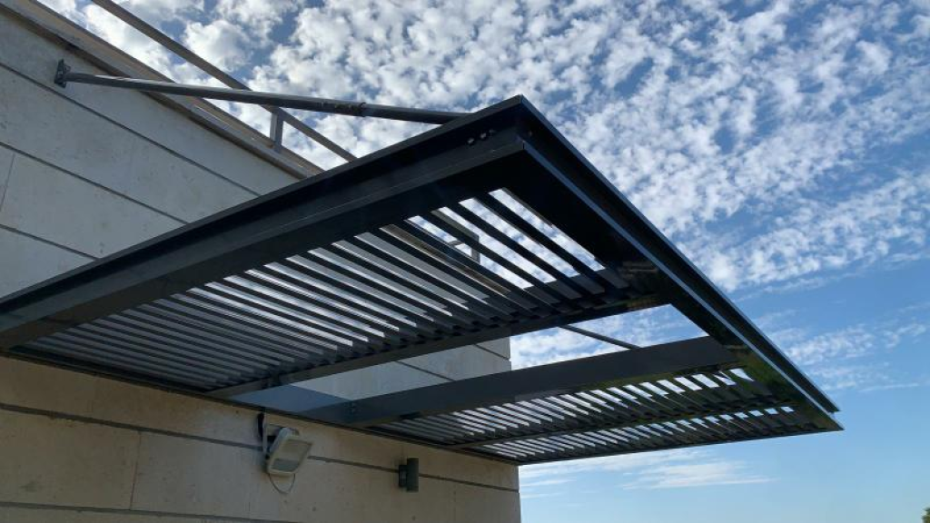 זיו בניה בעץ זיו בניה בעץ