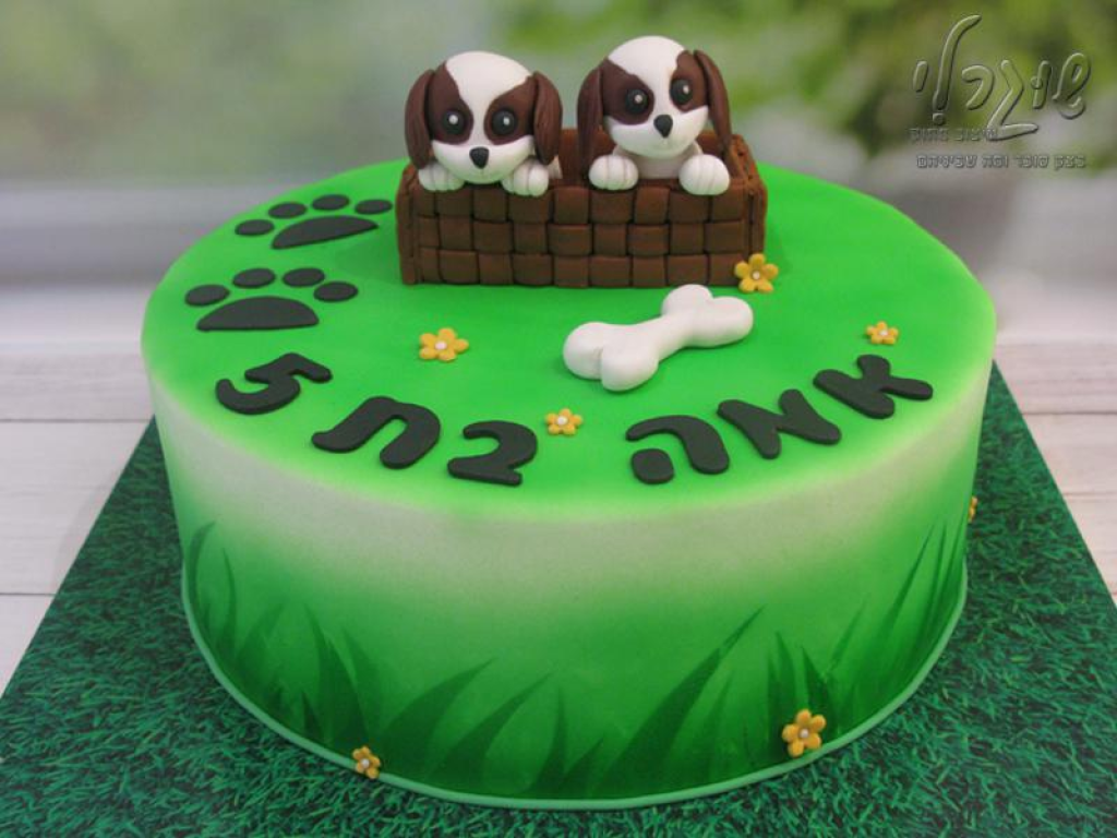 שוגרלי עיצוב מתוק שוגרלי עיצוב מתוק