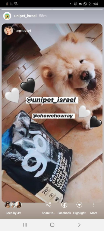 יוניפט יוניפט