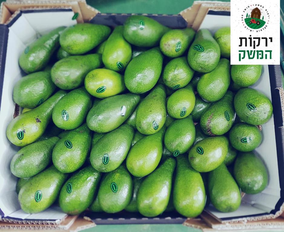 ירקות המשק ירקות המשק