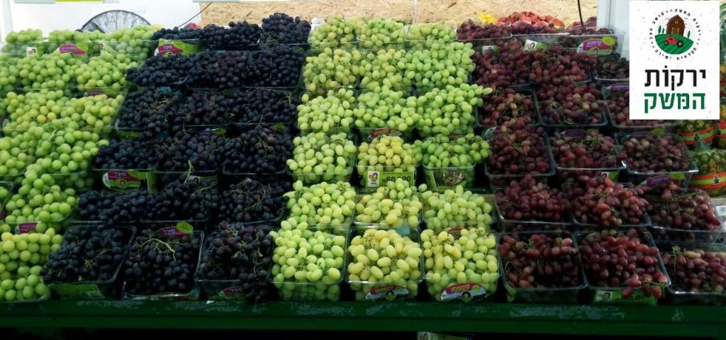 ירקות המשק ירקות המשק