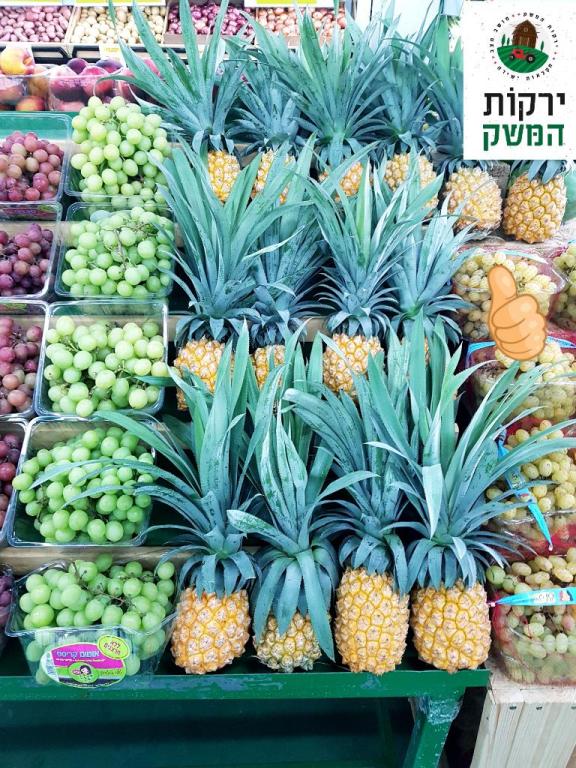 ירקות המשק ירקות המשק